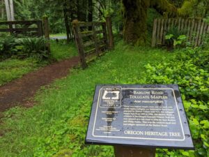 Hiking the Barlow Road - Pioneer Bridle Trail