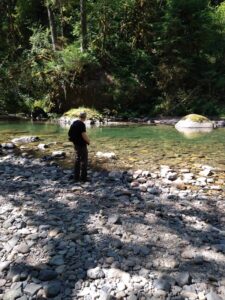Penny cooling off in the Santiam River