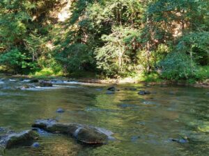 The Salmon River adjacent to our campsite