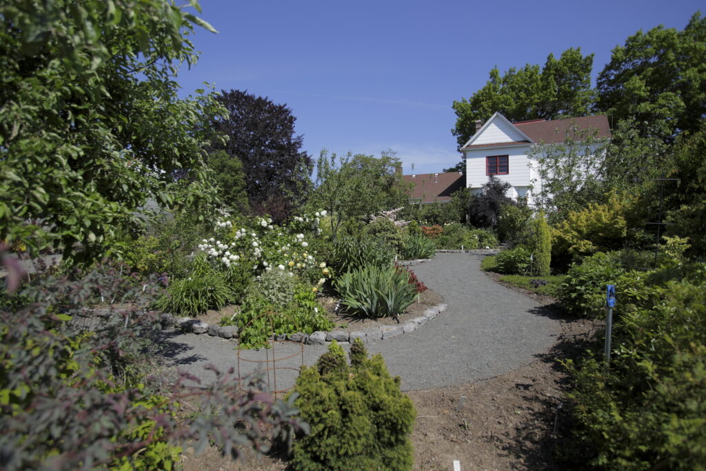 Rogerson Clematis Garden