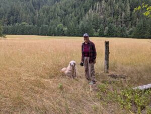 Elk meadow from Walton's Ranch
